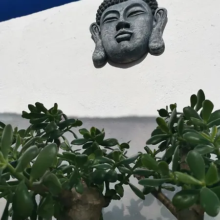 Centro ホームステイ